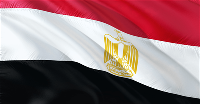 Digitalizzazione delle spedizioni in Egitto