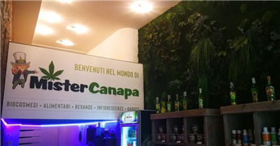 Mister Canapa ha utilizzato i servizi per l'internazionalizzazione